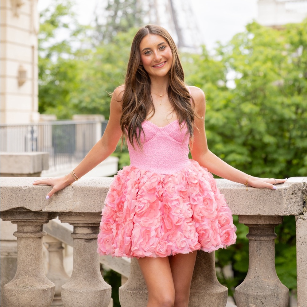 PERFECT DRESS - Picture 3 of 3